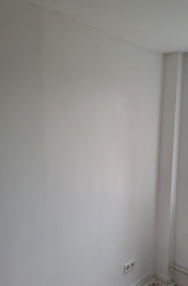 Sanierung abgeschlossen Erfolgreich sanierte Wand nach Entfernung von Schimmelbefall