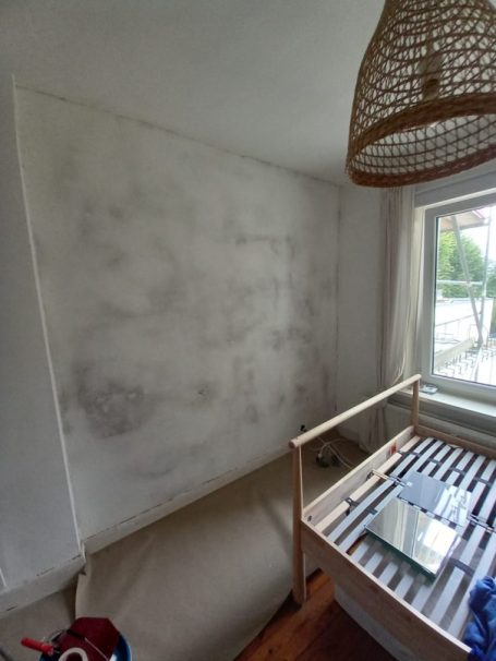 Schimmelbefall vor Behandlung Wand mit Schimmelbefall vor Sanierungsarbeiten
