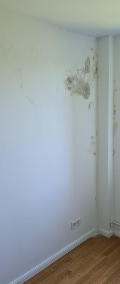 Schimmel vor Sanierung Von Schimmel betroffene Wand vor der fachgerechten Behandlung