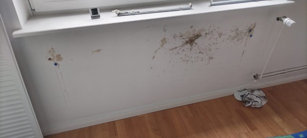Schimmelbefall vor Sanierung Schimmelbefall an Innenwand vor Schimmelsanierung