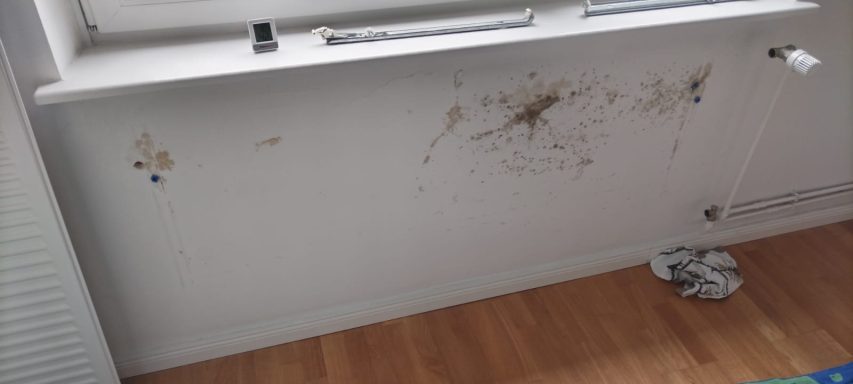 Wand mit Schimmel Schimmelbefall an einer Innenwand vor den Sanierungsarbeiten